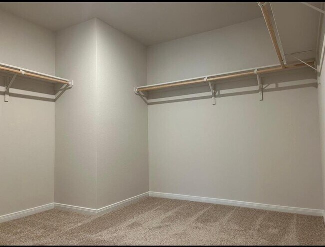 Building Photo - 1313 Camden Ln