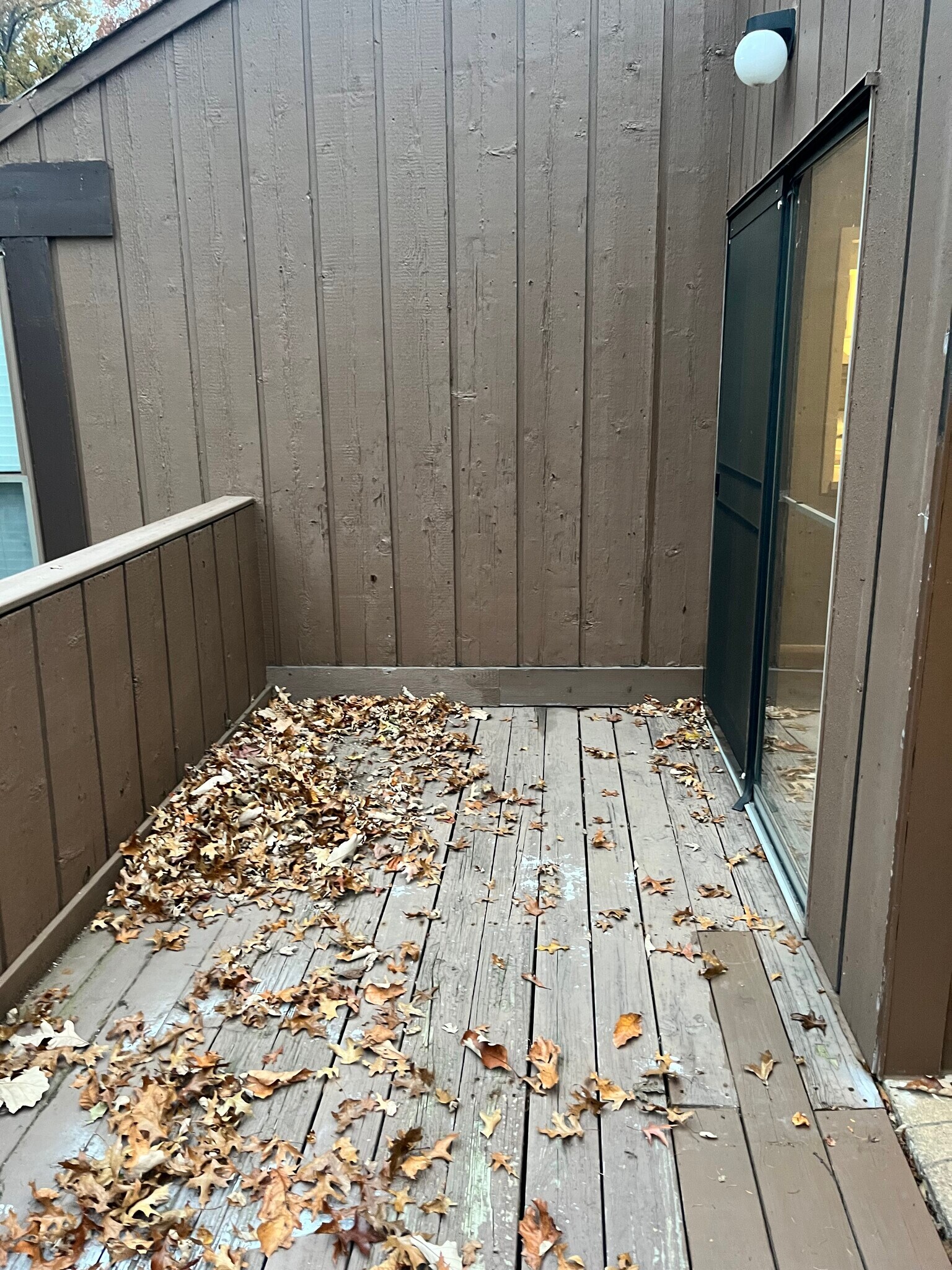 Building Photo - 33803 Electric Blvd