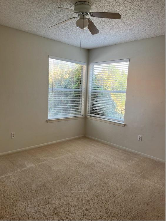 Building Photo - 11727 Norwegian Wood Dr