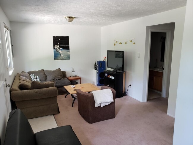 Downstairs Living Room - 622 N Hagadorn Rd