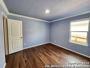 Building Photo - 1616 Tree Run