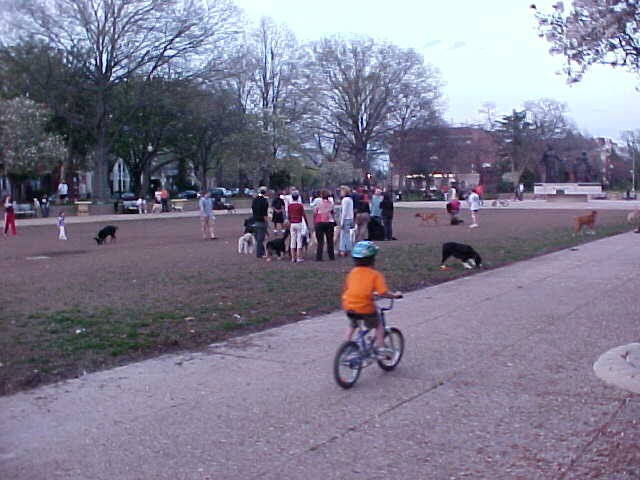 Nearby Lincoln Park - 1419 E Capitol St SE