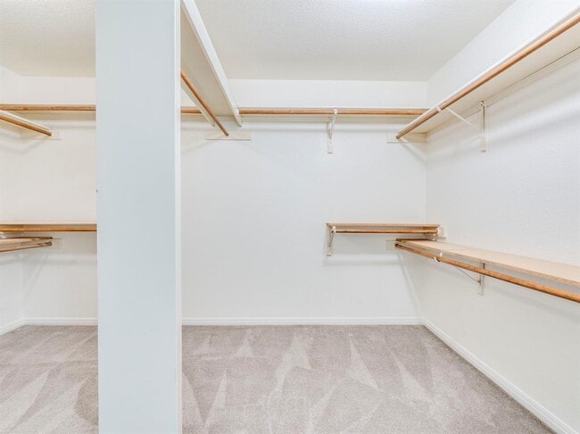 Building Photo - 6318 Zadock Woods Dr