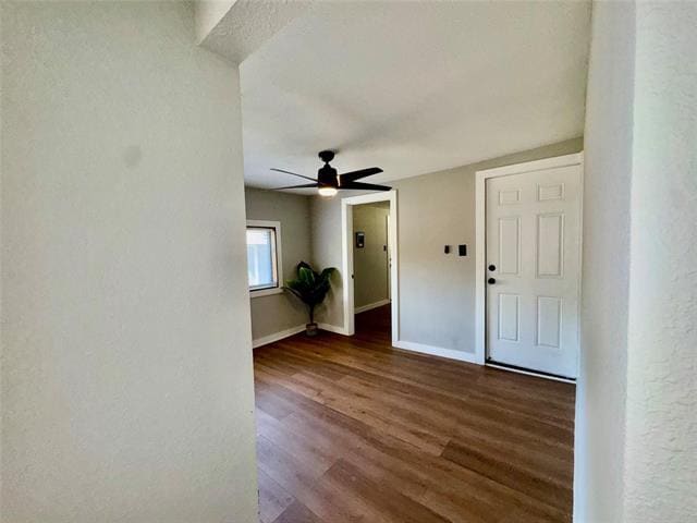 Building Photo - 319 Lowe St