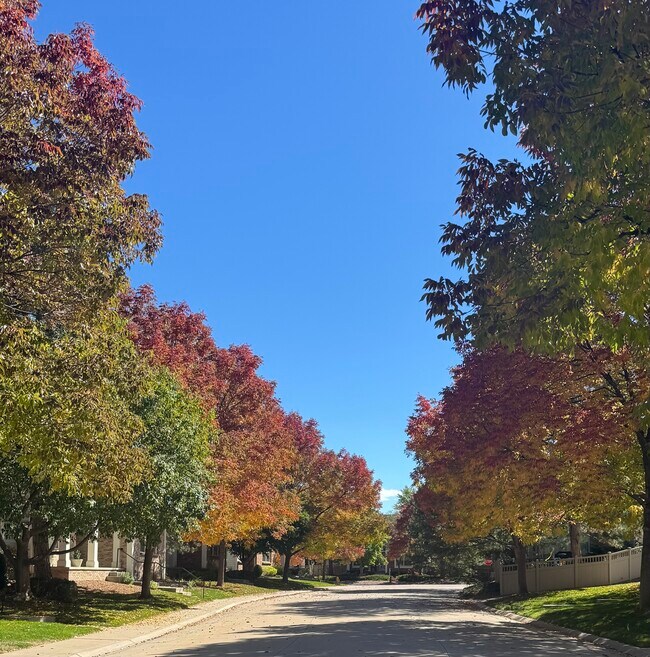 Building Photo - 1011 S Valentia St