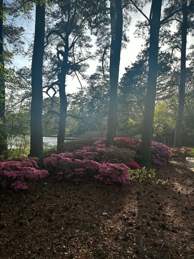 Building Photo - 339 Thole St