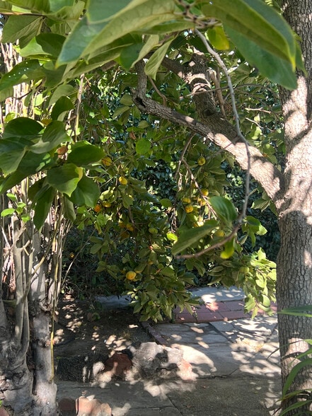 Building Photo - 1518 S Carmelina Ave