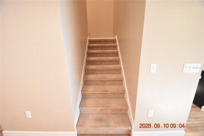Building Photo - 13217 Canopy Creek Dr