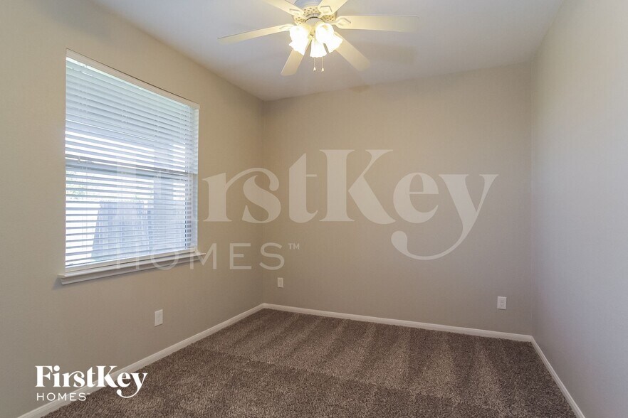 Building Photo - 331 American Black Bear