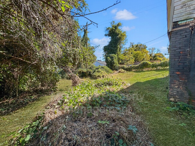 Building Photo - 24 Jones St