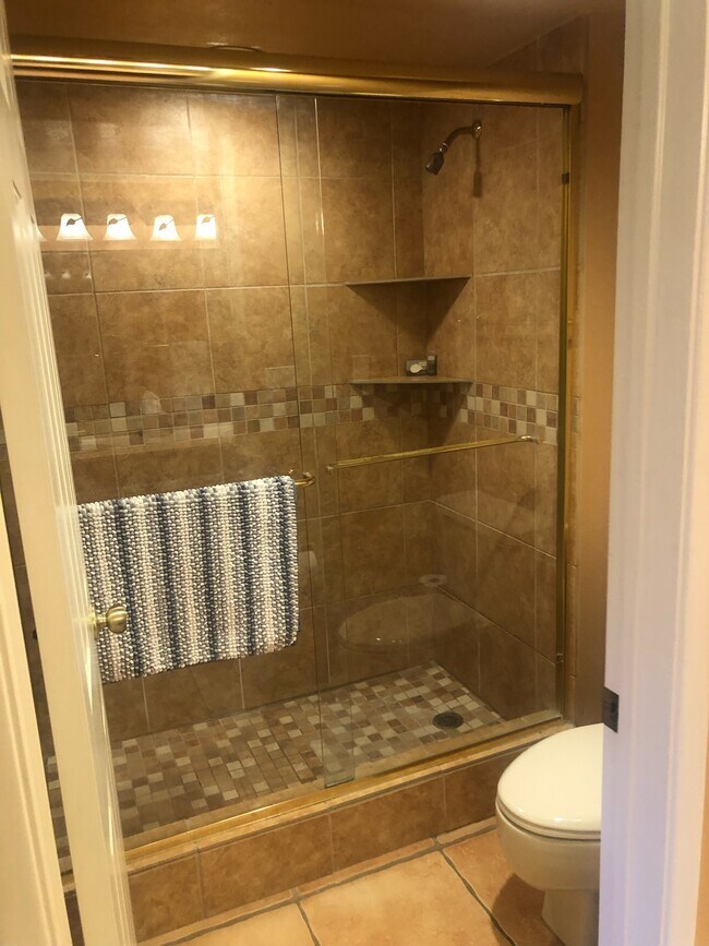 Walk in shower - 4303 E Cactus Rd