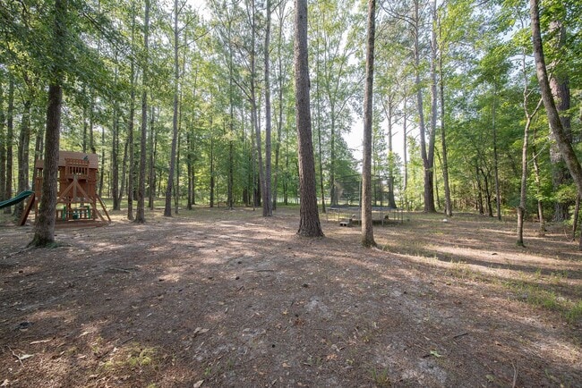 Building Photo - 4 bedroom/3 bath Midland, GA
