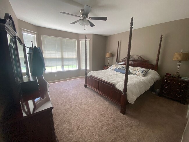 Building Photo - Great Home in Castle Rock