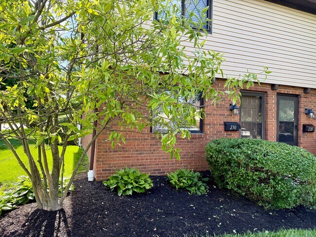 Building Photo - Beautifully Renovated 2 Bed, 1.5 Bath Condo in Westerville
