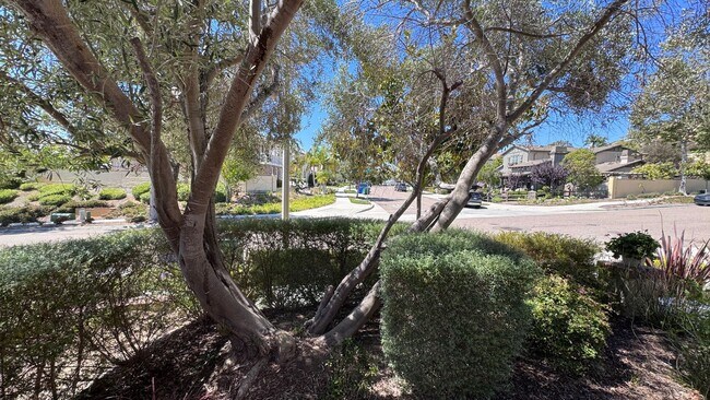 Building Photo - Luxury 4 Bedroom Home in La Costa Greens