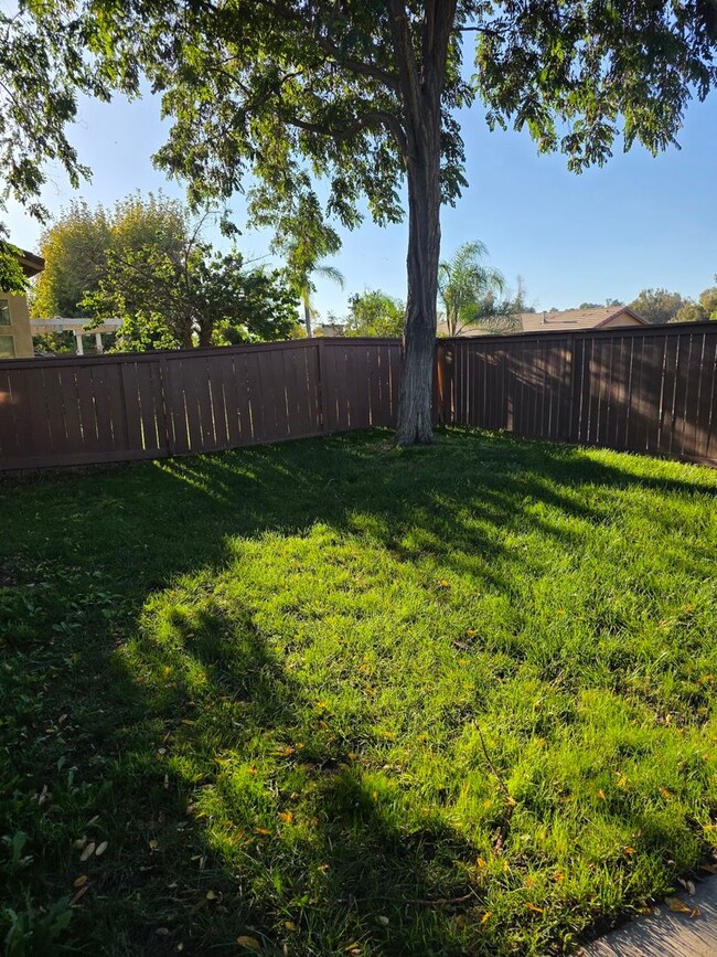 Building Photo - 4 Bedroom Home in Paloma del Sol. Fresh Pa...