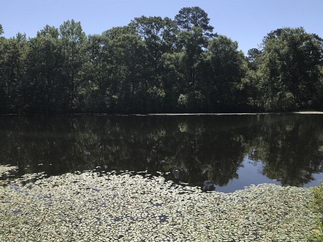 Building Photo - 30610 LA-9