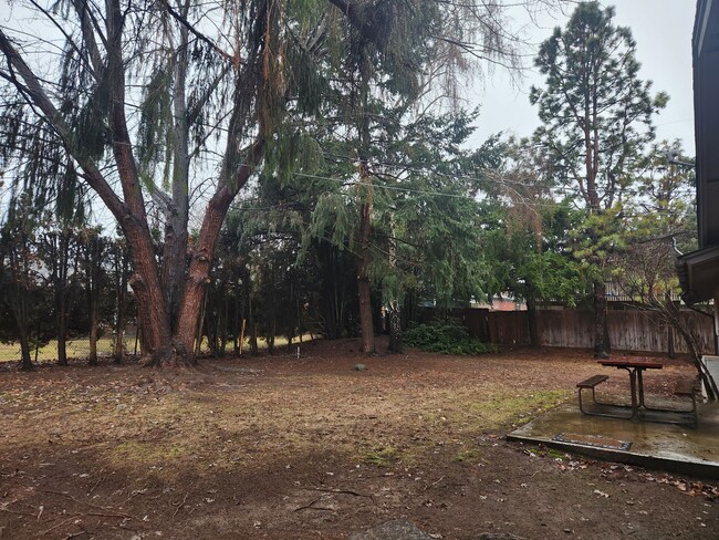 Building Photo - Near Chestnut Ave 3 br 1.5 ba all on one l...