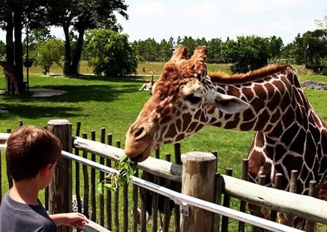 Building Photo - 285 Norwood Ave