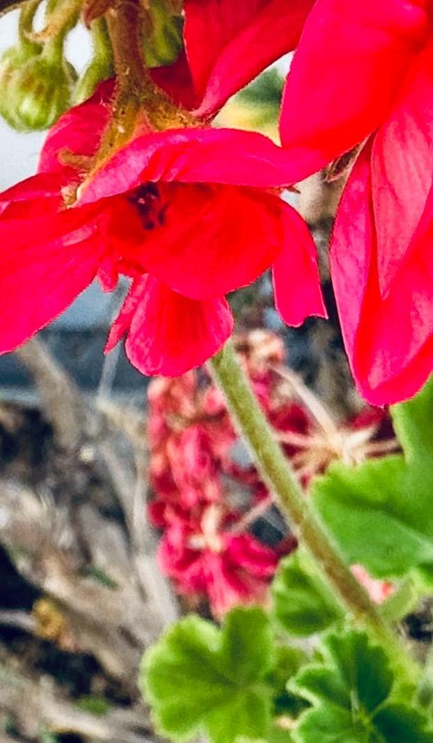 Building Photo - 327 Woodland Park