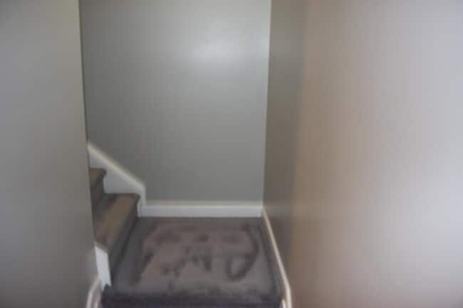 Building Photo - 2939 Stonecrest Ln