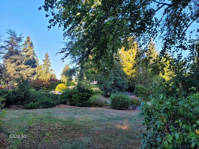 Front yard - 15712 13th Avenue Ct E