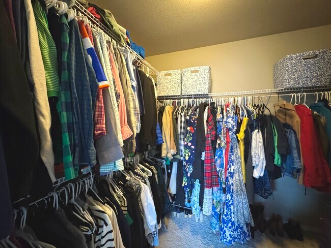 Building Photo - Wolf Ranch