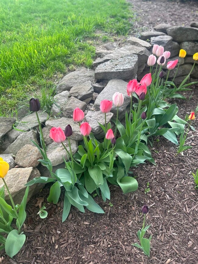 Building Photo - 293 Bear Hill Rd