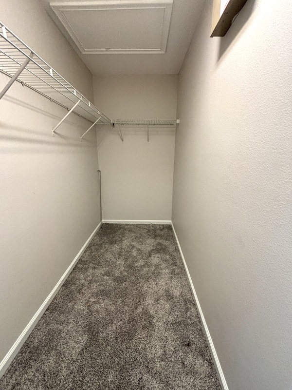 Building Photo - 2099 Switch Grass Cir