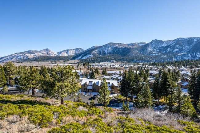 Building Photo - Mountain View Haven