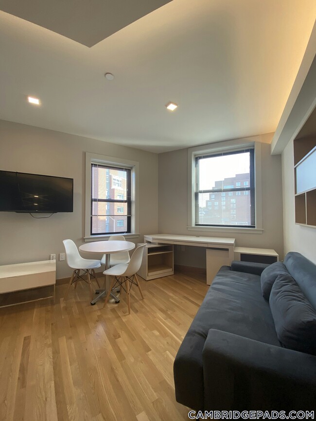 Building Photo - 115 Mt Auburn St