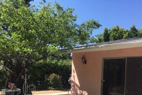 Building Photo - 3441 Red Rose Dr