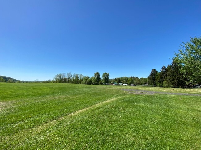 Building Photo - Bright & Breezy 3BR Ranch Ulster Park