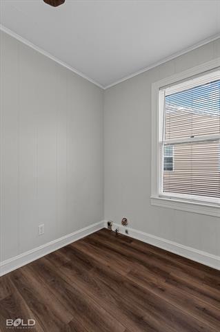 Building Photo - 245 E Elmwood St