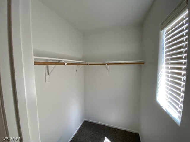 Building Photo - 8065 Caspian Moon Dr
