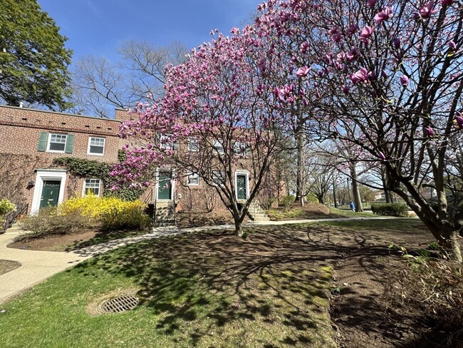 Building Photo - 531 VFW Parkway
