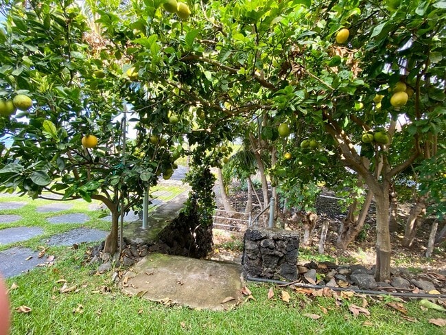 Building Photo - 75-654-654 Lalii Pl