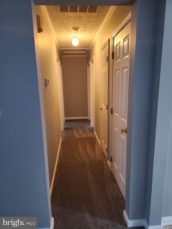 Building Photo - 121 Hampton Ct