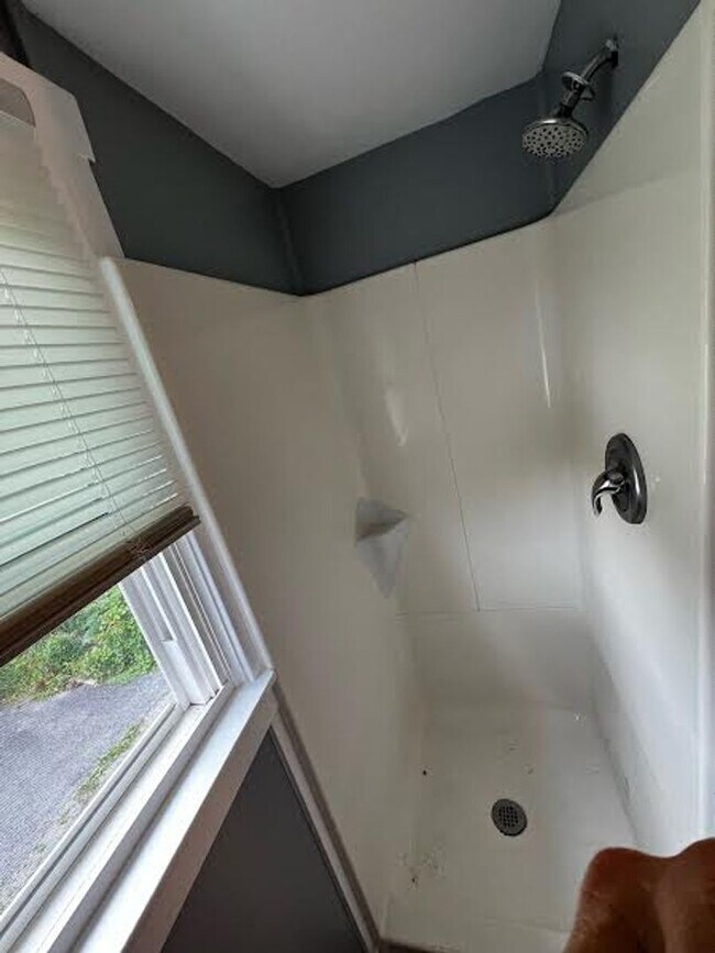 Building Photo - Cute 1 Bedroom Single Unit - Close to Campus!
