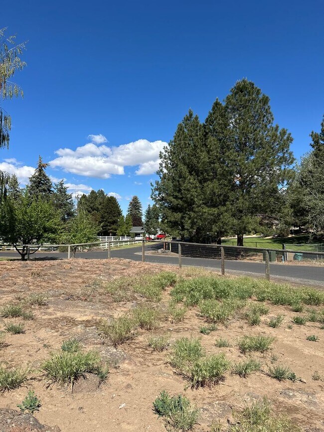 Building Photo - 3 Bed | 2 Bath | 1.17 Acres | Single-Level Home | Mountain Views