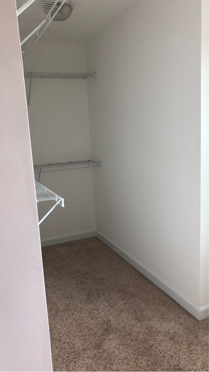 Building Photo - 5407 Nessee St