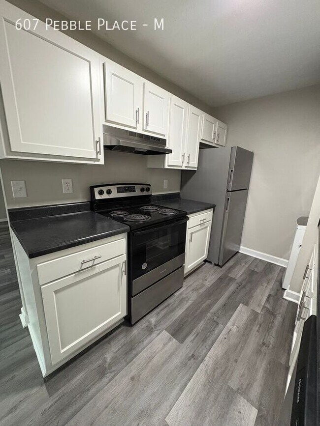 Building Photo - 607 Pebble Pl Dr