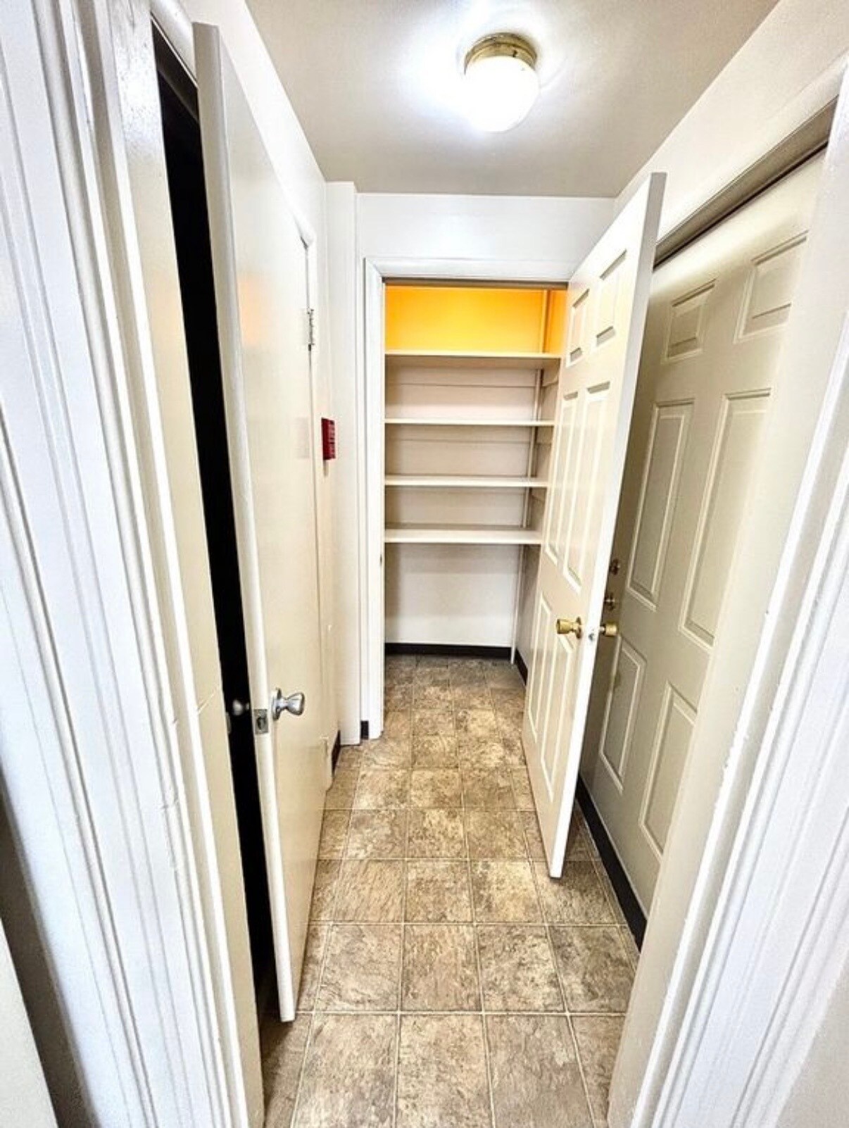 Building Photo - 313 Walnut St