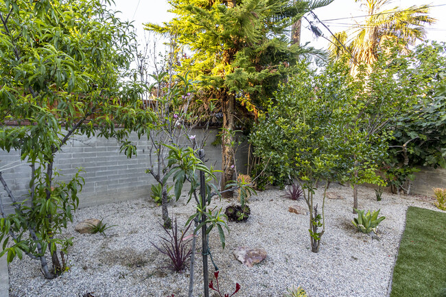 Back Yard #2 - 17815 Miranda St