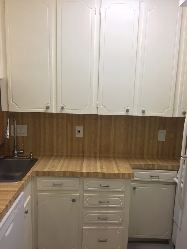 Building Photo - 3400 Timmons Ln