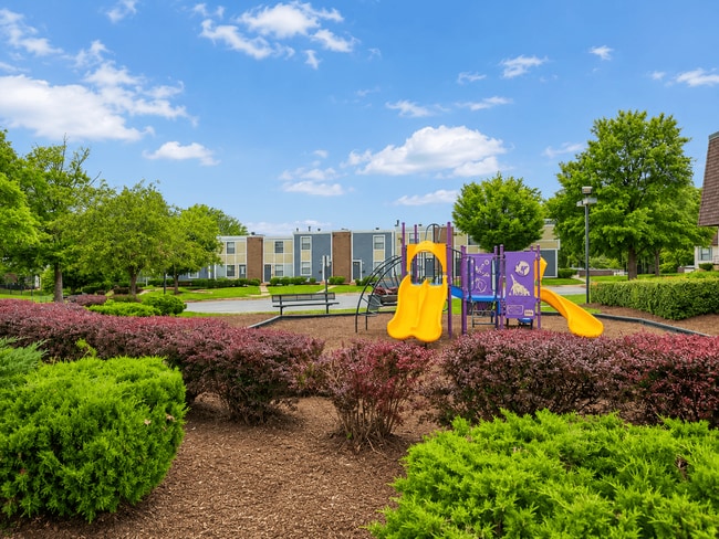 Building Photo - Millwood Townhouses