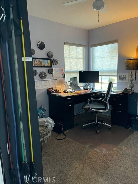 Building Photo - 17 Yellowpine Ln