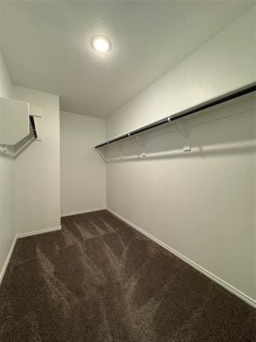 Building Photo - 6033 Seguin Ct