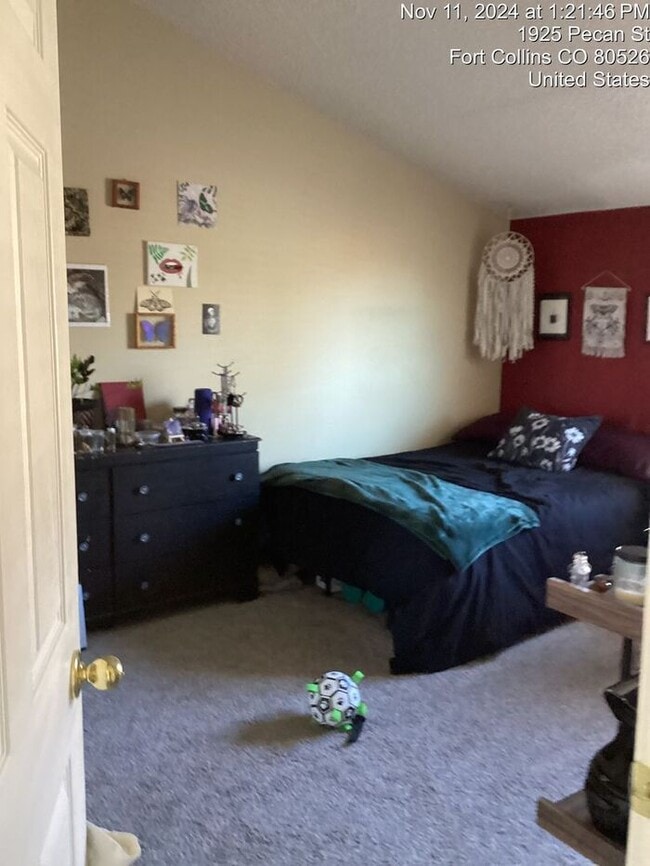 Building Photo - Recently Upgraded 2 Bedroom Apt Near Horsetooth!