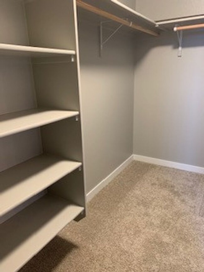 Building Photo - Brand New Home